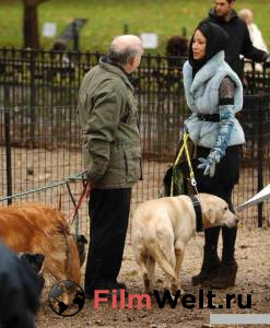 ����������� ����� (������) 2008 ������ ���� �� ������