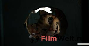 ��������� ������ � ������. ������ ���������� Pettersson und Findus - Findus zieht um ������ ��� �����������