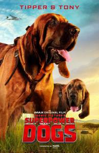 Кино Суперсобаки&nbsp; / Superpower Dogs / [2019] смотреть онлайн