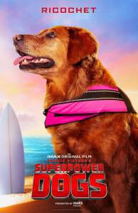   &nbsp; / Superpower Dogs / (2019)   HD