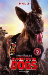  &nbsp; / Superpower Dogs / 2019   