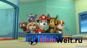 ���� ������ ������� �������: ������������&nbsp;2 �������� ���������