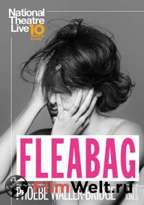 Смотреть увлекательный онлайн фильм Дрянь National Theatre Live: Fleabag [2019]