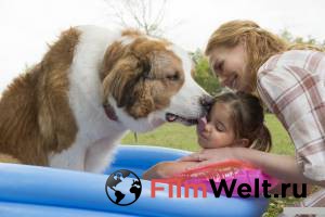 ������� �����&nbsp;2 / A Dog's Journey / 2019 ������ ����� ���������