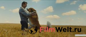 Смотреть интересный фильм Собачья жизнь&nbsp;2 онлайн