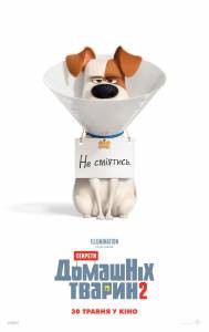     &nbsp;2 / The Secret Life of Pets2 