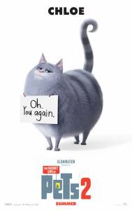 Онлайн кино Тайная жизнь домашних животных 2 - The Secret Life of Pets 2 Онлайн кино Тайная жизнь домашних животных 2 - The Secret Life of Pets 2