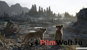 ����� ������ ������ ���&nbsp; ���������