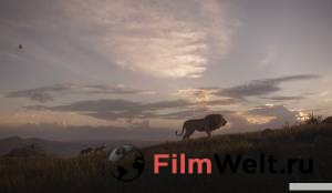 ���� ������ ���&nbsp; / The Lion King �������� ������ ���������