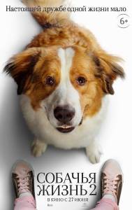 Кино онлайн Собачья жизнь 2 A Dog's Journey смотреть бесплатно Кино онлайн Собачья жизнь 2 A Dog's Journey смотреть бесплатно