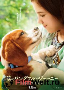 Фильм Собачья жизнь&nbsp;2 смотреть онлайн