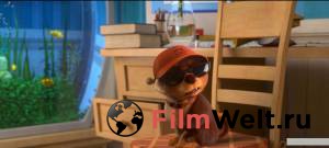 ������ ���� � ������ ������