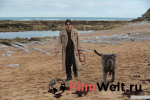 ��� ������ ����� 2019 ������ ���� �� ������