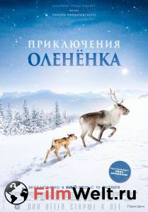 Смотреть фильм онлайн Приключения олененка A"ilo: Une odyss'ee en Laponie (2018) бесплатно