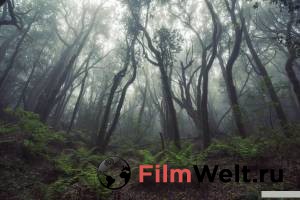Смотреть интересный онлайн фильм Свистуны / La Gomera / (2019)
