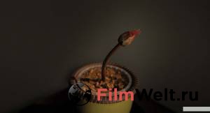 онлайн кадр Малыш Джо 2019 онлайн кадр из фильма