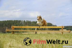 Лесси. Возвращение домой / Lassie - Eine abenteuerliche Reise / (2020) смотреть онлайн без регистрации