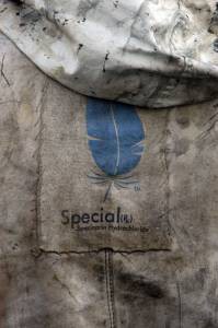    :   Special (2006)