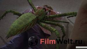 Смотреть увлекательный фильм Ледяные пауки (ТВ) / Ice Spiders / 2007 онлайн