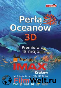     3D - (2003) 
