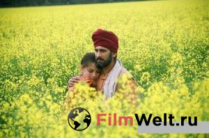 ������ 2007 ������ ���� �� ������