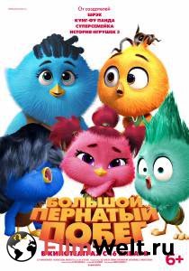 ���� ������� �������� ����� (2024) / Out of the Nest / 2024 ������