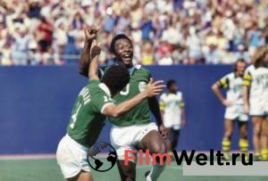 ������� � ����� - Once in a Lifetime: The Extraordinary Story of the New York Cosmos - (2006) �������� ������ ��� �����������