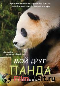 ���� ��� ���� ����� (2024) �������� ������ ���������