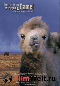    - Die Geschichte vom weinenden Kamel - 2003   
