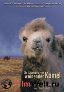      - Die Geschichte vom weinenden Kamel 