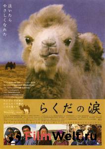    Die Geschichte vom weinenden Kamel   