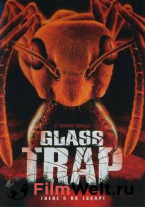    / Glass Trap / 2005   