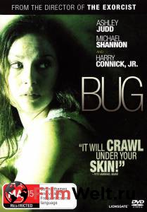     / Bug / 2006 