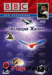 Смотреть BBC: Эволюция жизни (сериал) Journey of Life онлайн без регистрации Смотреть BBC: Эволюция жизни (сериал) Journey of Life онлайн без регистрации