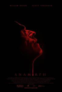    Anamorph