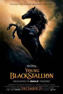      - The Young Black Stallion