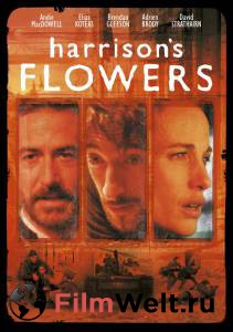      Harrison's Flowers [2000]