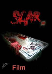    3D / Scar / 2007  