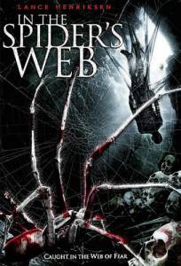     () / In the Spider's Web online