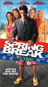     () - Spring Break Lawyer 