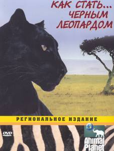 ����� ������ Animal Planet: ��� �����... (������ 2003 � 2007) Growing Up Wild ��������� � HD