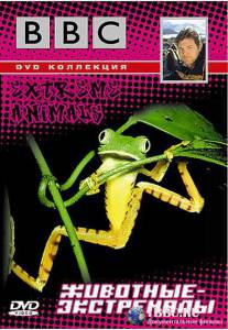   BBC: - (-) / Steve Leonard's Extreme Animals / [2002] 