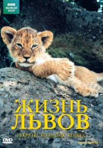 BBC:   () Lions: Spy in the Den [2000]   