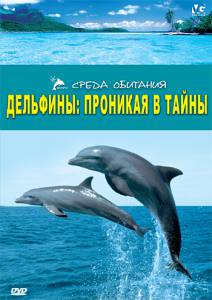 �������� ����� ��������: �������� � ����� / (2006) online