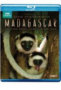    (-) Madagascar (2011 (1 )) 