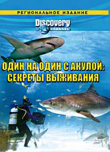   Discovery:     .   () / (2006) 