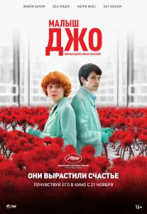    / Little Joe / [2019] 