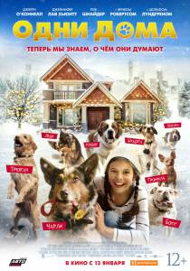 Смотреть кинофильм Одни дома (2021) Pups Alone (2021) онлайн