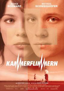     Kammerflimmern (2004)