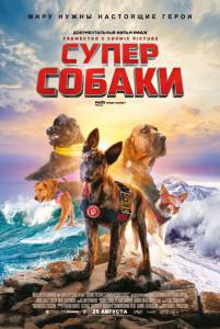 Бесплатный онлайн фильм Суперсобаки Бесплатный онлайн фильм Суперсобаки 